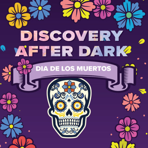 Discovery After Dark: Day of the Dead